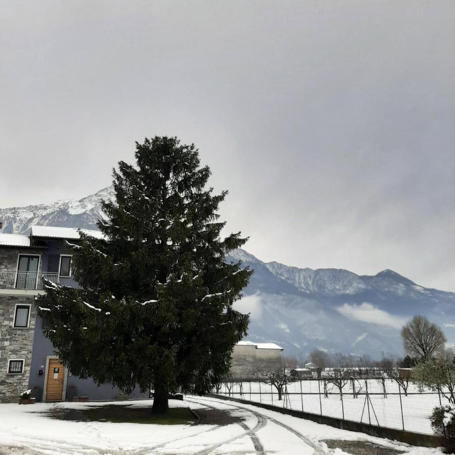 B&B Zia Vivina Sorico Exteriér fotografie